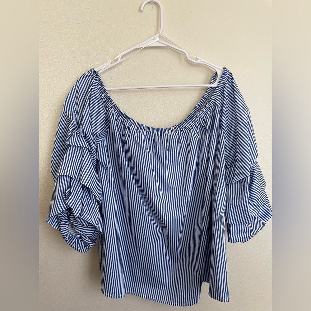 Ambiance Blue and White Striped Blouse - Picture 8 of 8